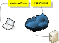 Look up your IP address from anywhere, no matter how many times it changes